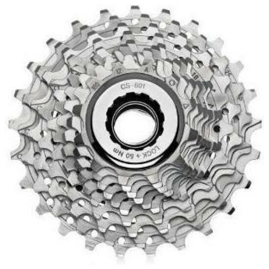 Campagnolo 10 VERSNELLING ZILVER