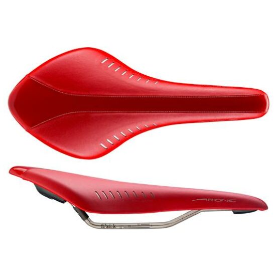 Fizik ZADEL FI 2010 ARIONE GLOSSY ROOD