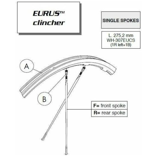 Campagnolo EURUS 2006 ZILVER