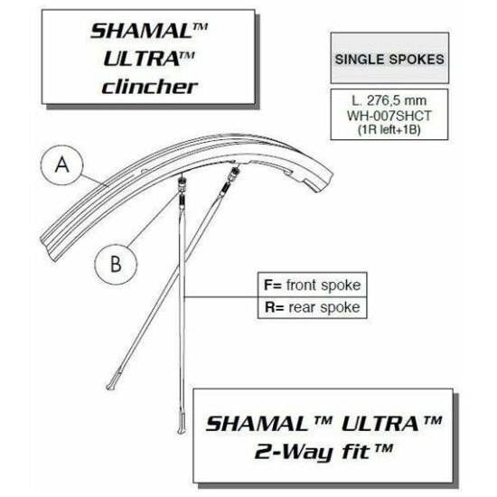 Campagnolo SPAAK CA SHAMAL TIT 2008/09 A L WH-007SHCT