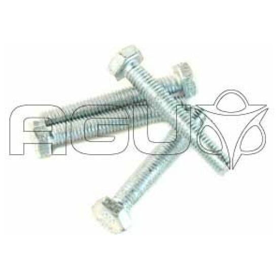 Bofix Bout M5x30 6K/kop (wp25) Zilver