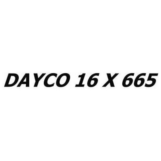 Dayco V SNAAR DAY(G)SUZUKI SEPHIA 7166