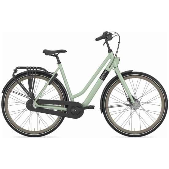 Gazelle Esprit T3 Li 865 Pistachegreen (matt) Lage instap