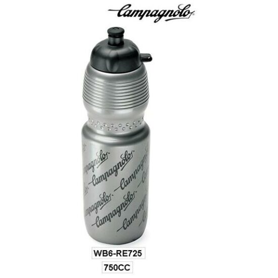 Campagnolo RECORD ZILVER