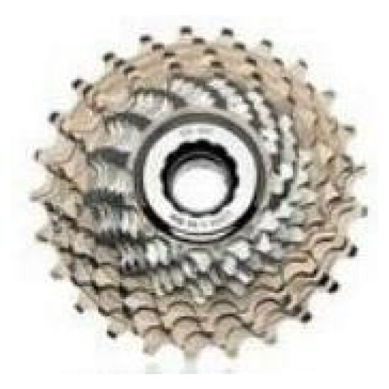 Campagnolo RECORD ZILVER